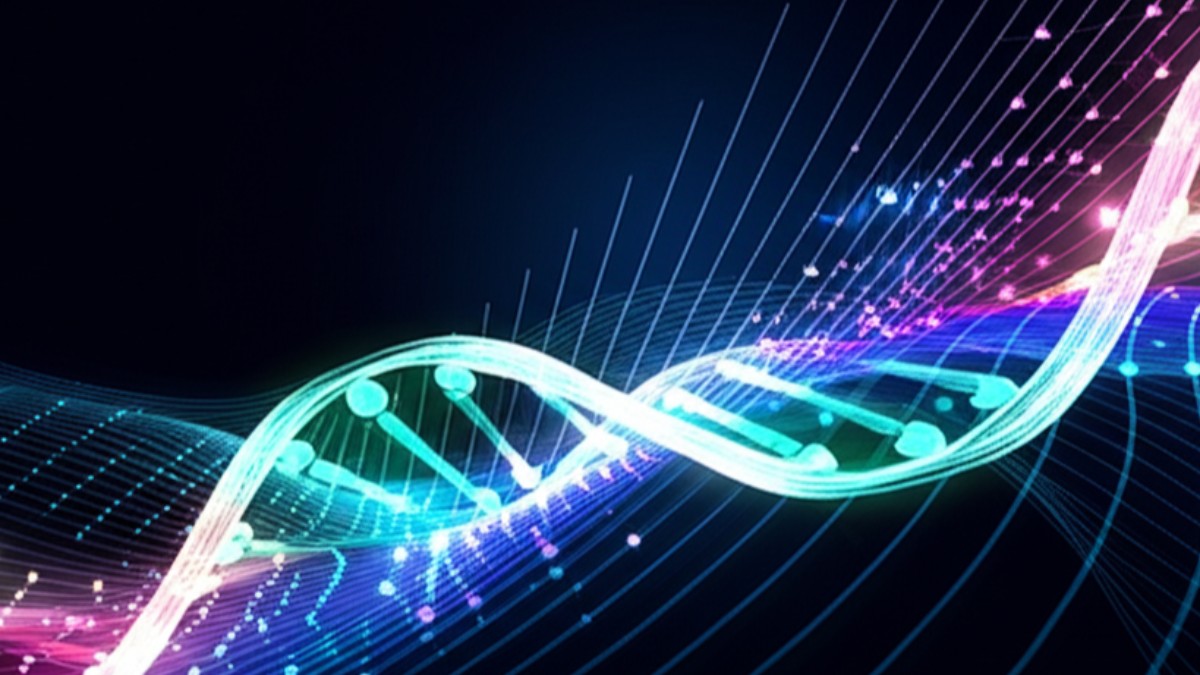 AI Destekli Kişiselleştirilmiş Tedavi Yaklaşımları: Geleceğin Sağlık Hizmetleri